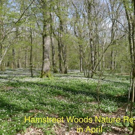 Ashwood Holiday Cottage. آشفورد المظهر الخارجي الصورة