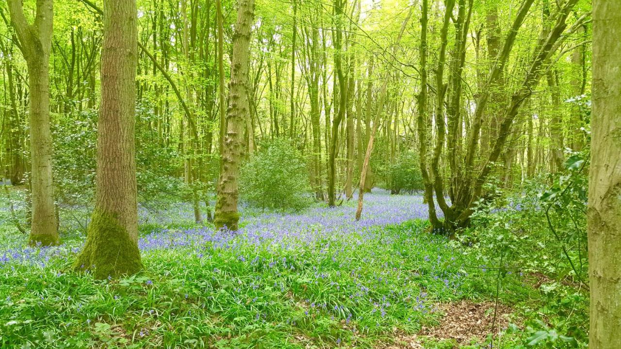 Ashwood Holiday Cottage. آشفورد المظهر الخارجي الصورة