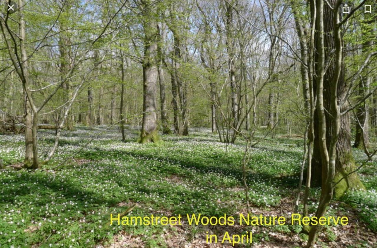 Ashwood Holiday Cottage. آشفورد المظهر الخارجي الصورة